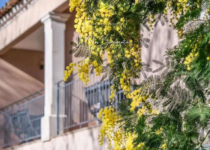 Dolce Et St Tropez - 10 Saint-Tropez